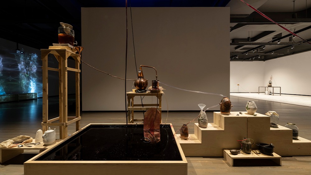 Meet LA’s Art Community: Candice Lin Has Been Researching Ideas of Citizenship
