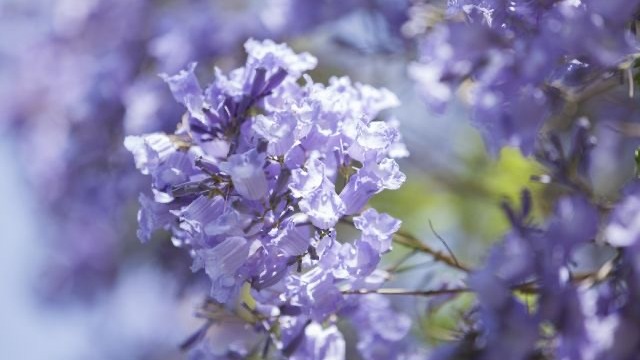 A Spring 2021 Message from Dean Brett Steele