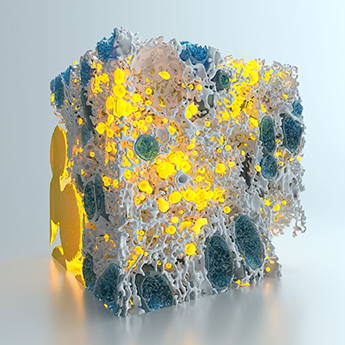 A square-shaped blob of white, yellow and blue matter that structurally resembles coral.