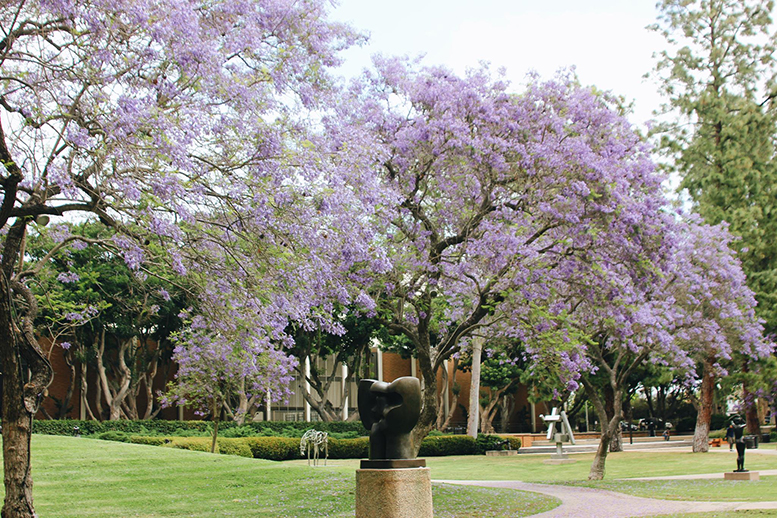 UCLA Arts: School of the Arts and Architecture