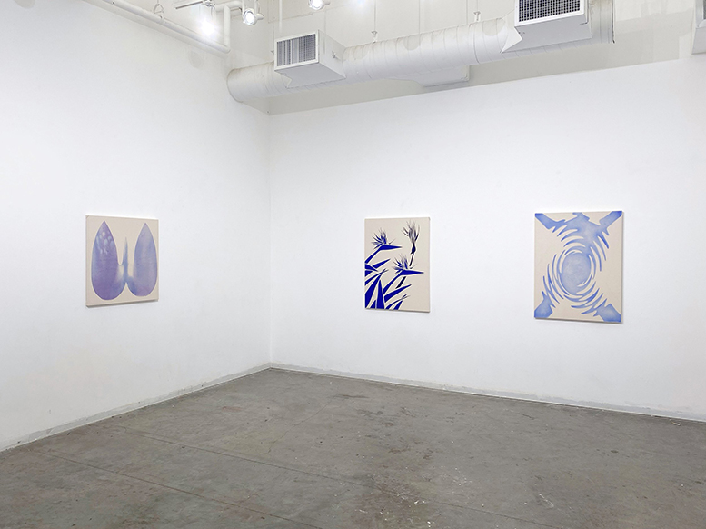 Paintings by Nina hang on the wall of a gallery