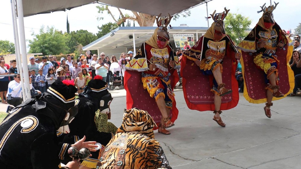 Mayan Danza del Venado